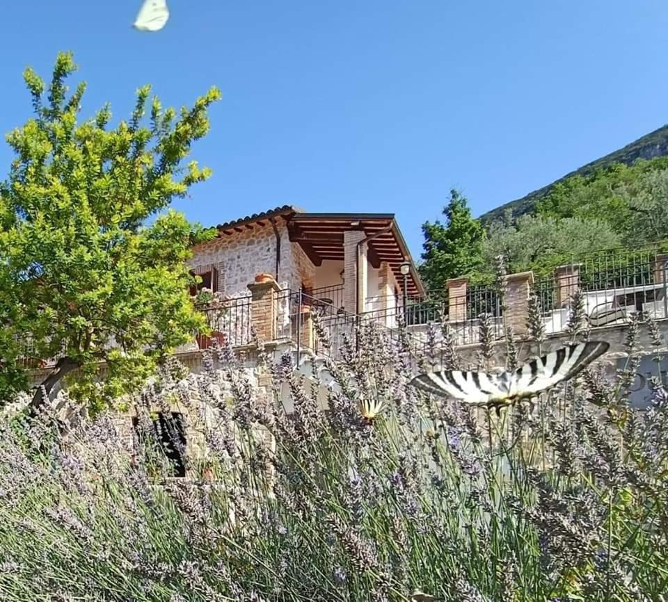 Pucci Country House Ferentillo Exteriér fotografie